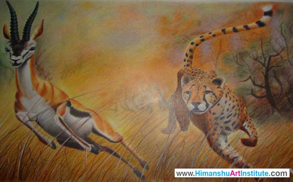 Online Professional Certificate Course in Coloured Pencil Drawing, Colour Pencil Shading Classes, Pencil Color Drawing Classes, Coloured Pencil Drawing Course in Delhi, Online Best Colored Pencil Drawing Classes in Delhi, India
